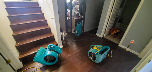 Best Local water damage restoration  in Daingerfield, TX