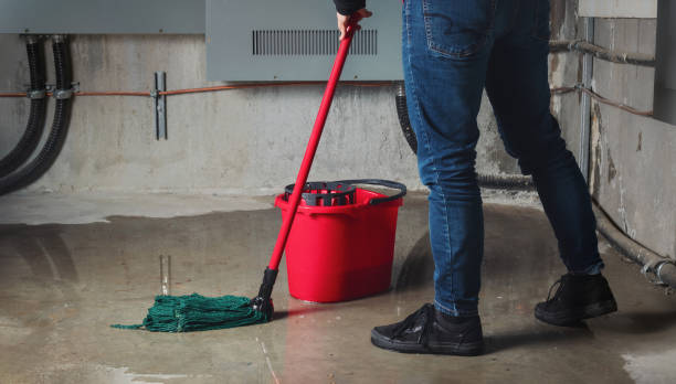 Best Carpet water damage restoration  in Daingerfield, TX