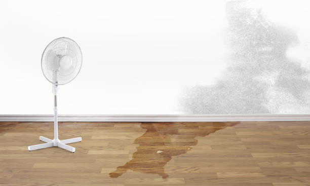 Best Emergency water damage restoration  in Daingerfield, TX